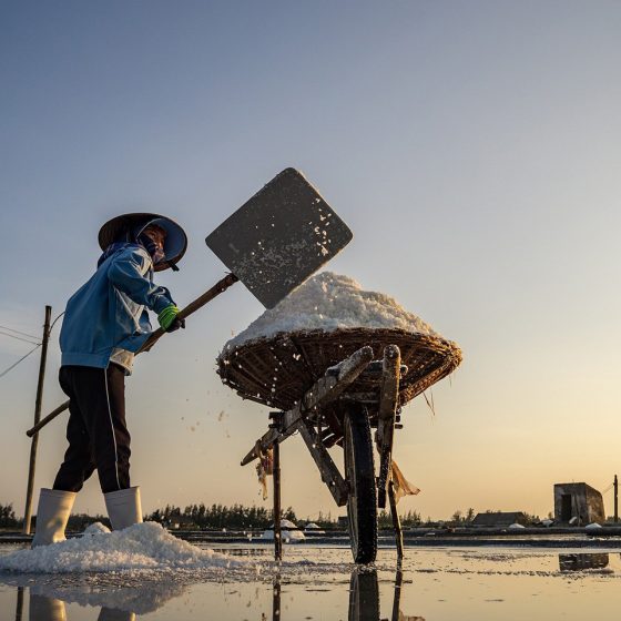 North to South Trains